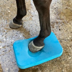 ejercicio-estabilizador-entrenamiento-equino