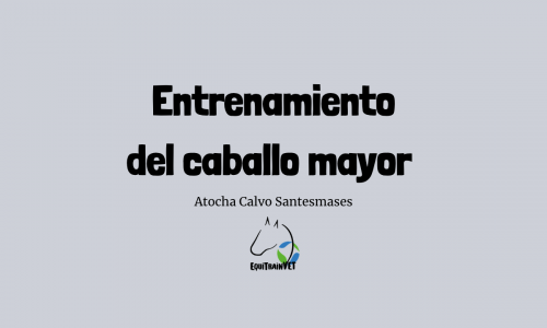 Seminario: entrenamiento del caballo mayor