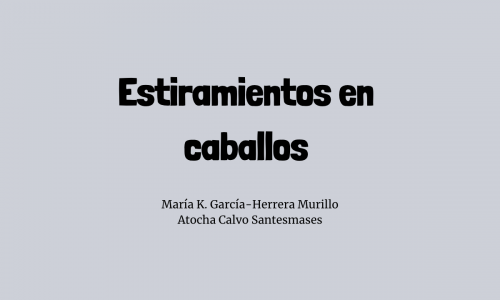 Estiramientos en caballos