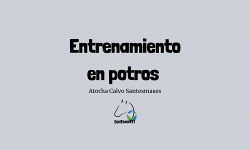 Seminario entrenamiento en potros