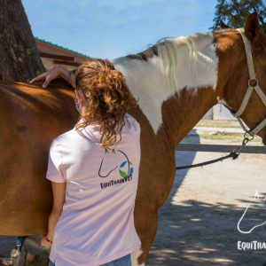rehabilitacion-equina-dorso-sano