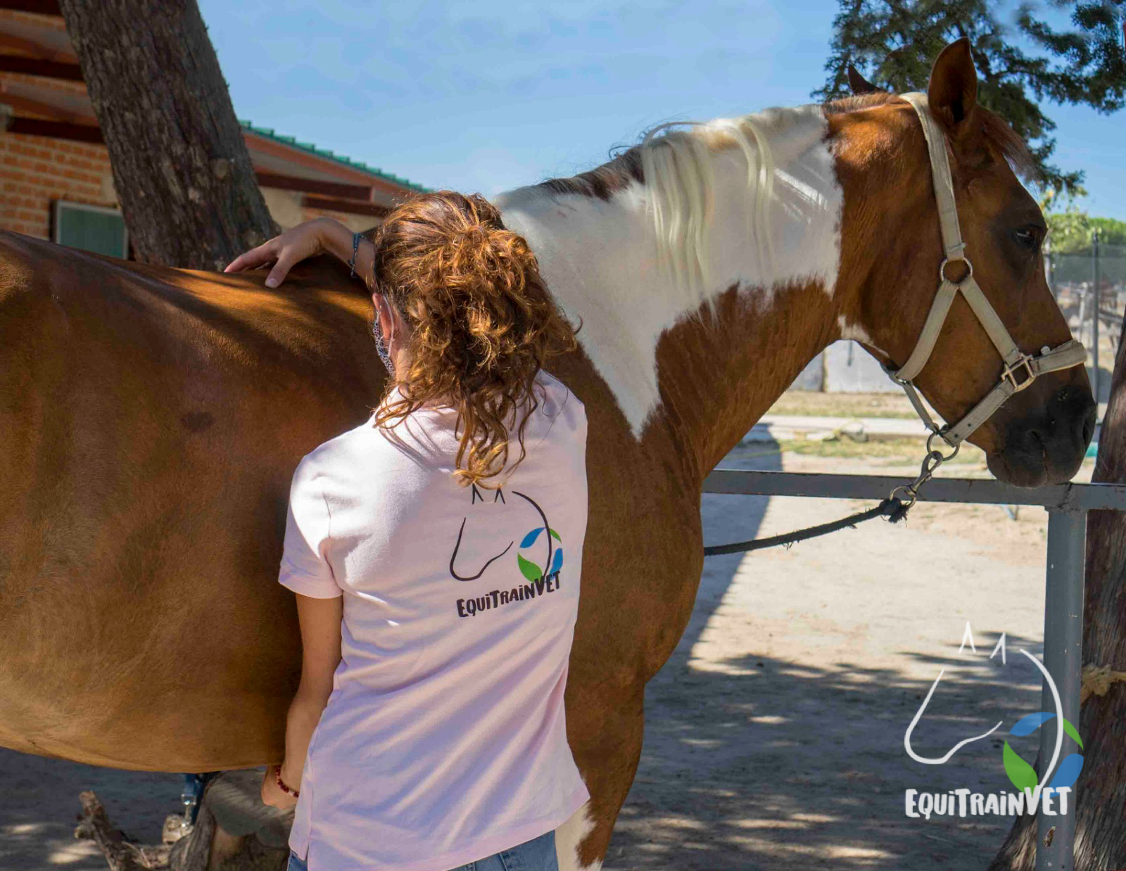 rehabilitacion-equina-dorso-sano