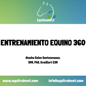 Entrenamiento equino 360