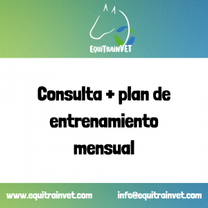 Consulta online + Plan de Entrenamiento Mensual