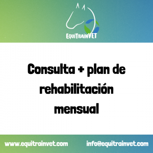Consulta online + Plan de Rehabilitación Mensual
