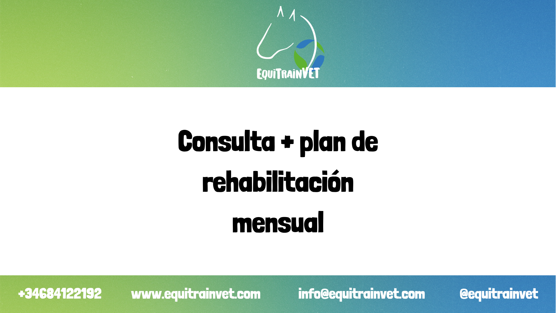 Consulta online + Plan de Rehabilitación Mensual