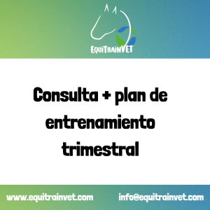 Consulta online + Plan de Entrenamiento Trimestral