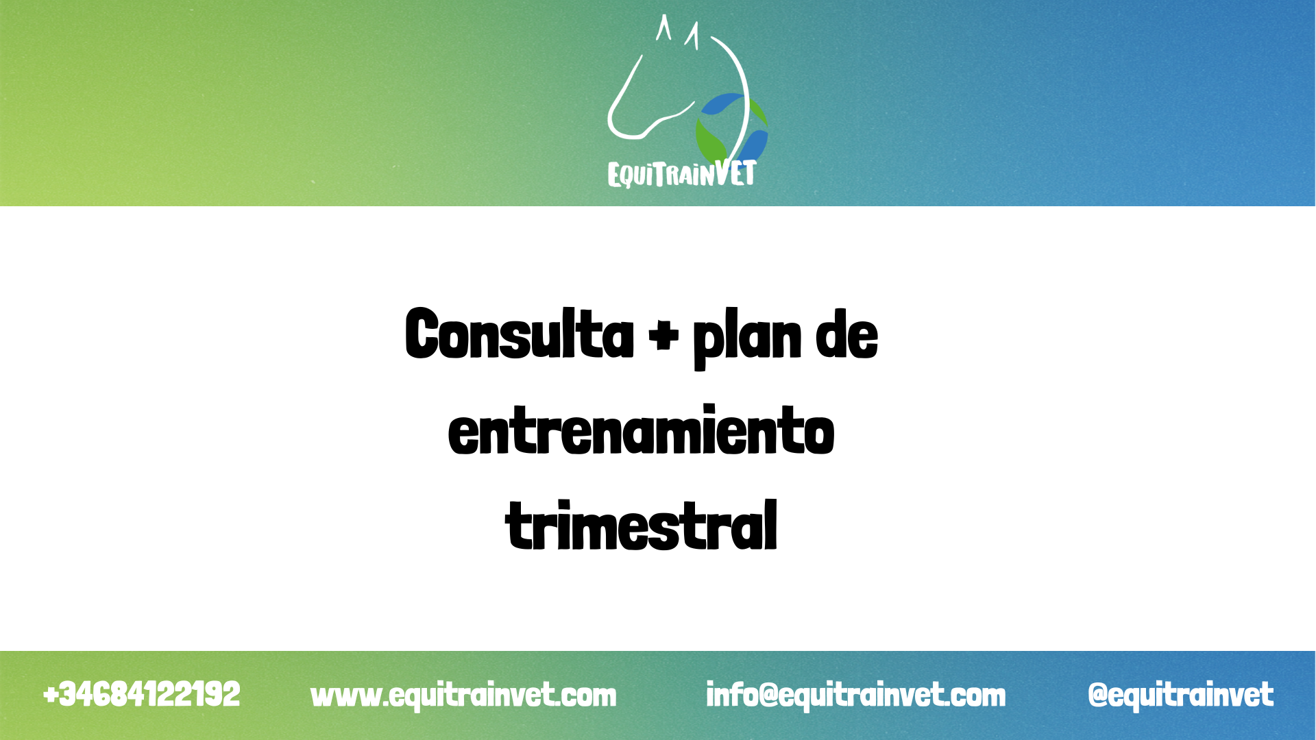 Consulta online + Plan de Entrenamiento Trimestral