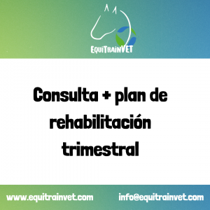 Consulta online + Plan de Rehabilitación Trimestral