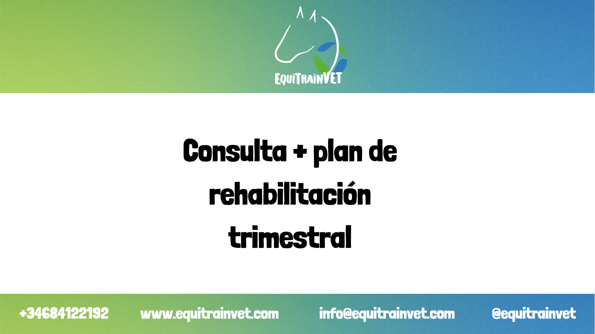 Consulta online + Plan de Rehabilitación Trimestral
