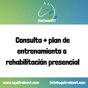 Consulta Presencial + Plan de Entrenamiento o Rehabilitación (Mensual o Trimestral)