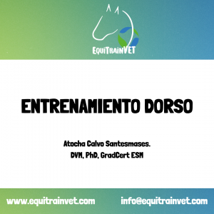 Entrenamiento dorso