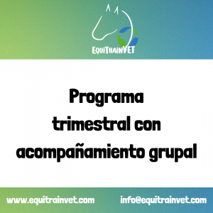 Programa Trimestral de Acompañamiento Grupal