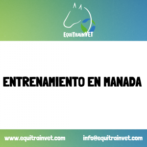 Entrenamiento en manada