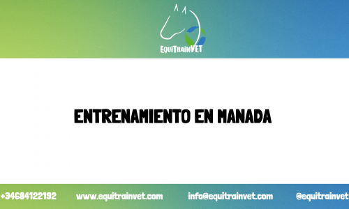 Entrenamiento en manada