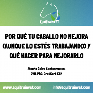 Masterclass: Por qué tu caballo no mejora (aunque lo estés trabajando) y qué hacer para solucionarlo